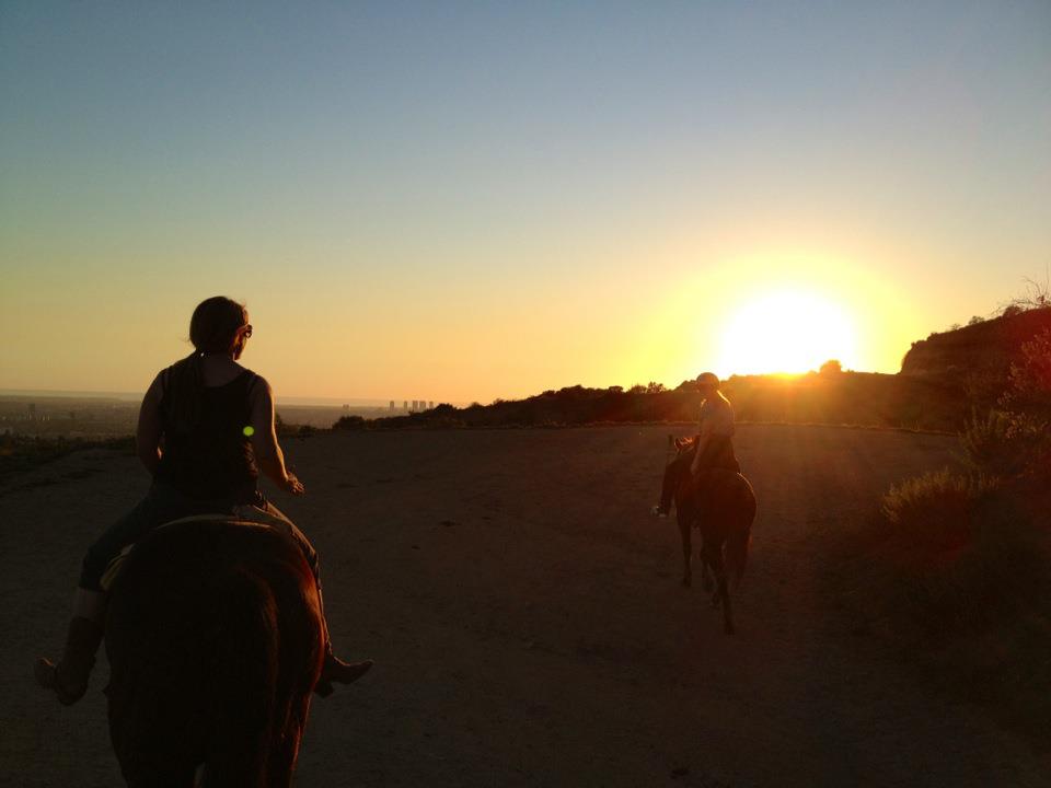 Sunset Ranch Hollywood - Horseback Riding Tours in Los Angeles