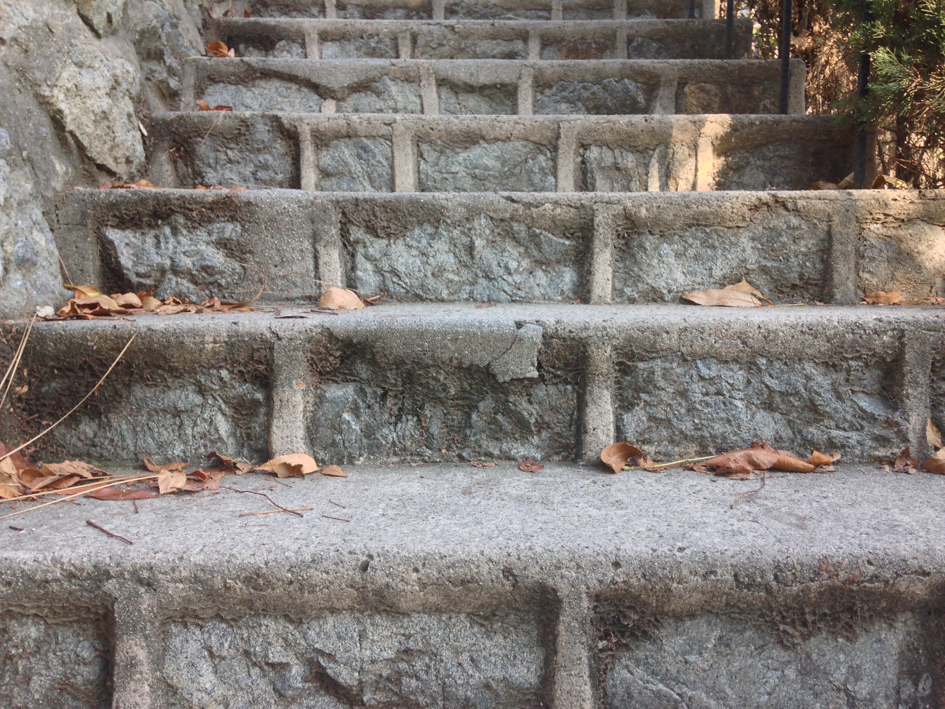 Featured image for “Secret Hollywoodland Stairs”