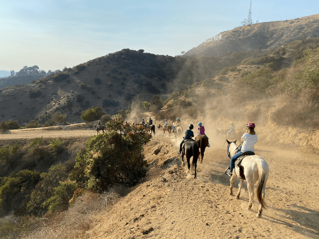 Smith Mountain Lake Horseback Riding Lesson